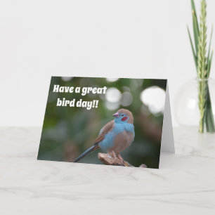 Niedlicher Blaufinster Karte
