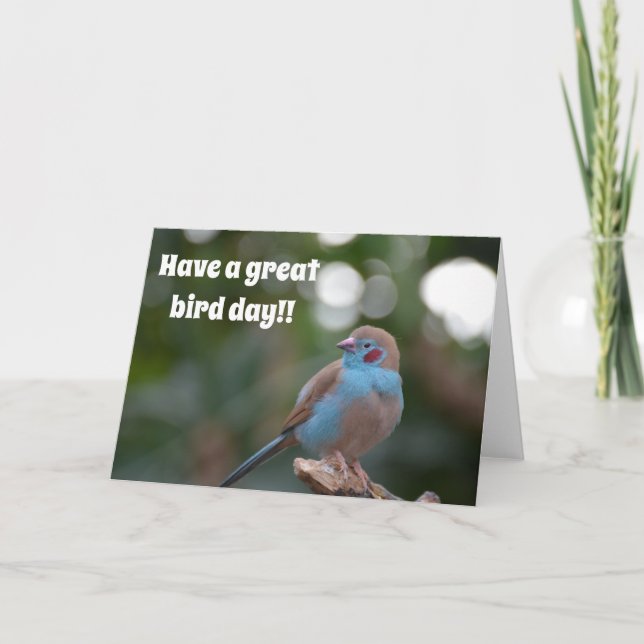 Niedlicher Blaufinster Karte (Vorderseite)