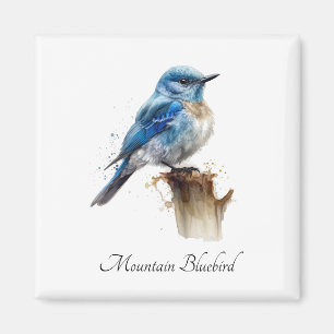 niedlicher Blauvogel im Wasser Magnet