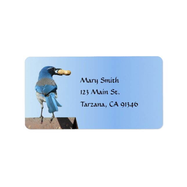 Niedlicher Blue Scrub Jay Bird mit Peanut Label Adressaufkleber (Vorne)