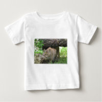 Niedlicher Bobcat