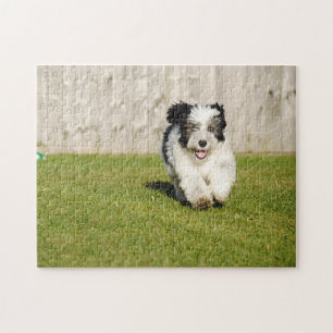 Niedlicher Bobtail Sheepdog Puzzle