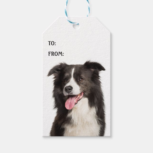 Niedlicher Border Collie Welpe Dog Lover Schwarz-w Geschenkanhänger (Vorderseite)