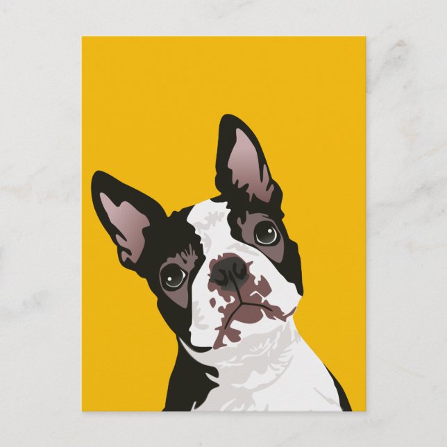 Niedlicher Boston Terrier Dog für Boston Terrier E Postkarte (Vorderseite)