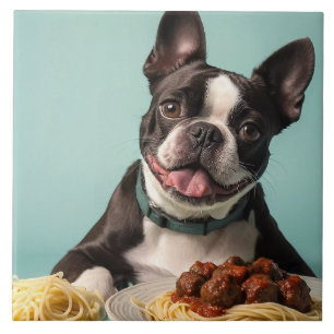 Niedlicher Boston Terrier mit Spaghetti Bolognaise Fliese