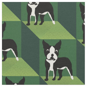Niedlicher Boston Terrier über grüne Kuben Stoff