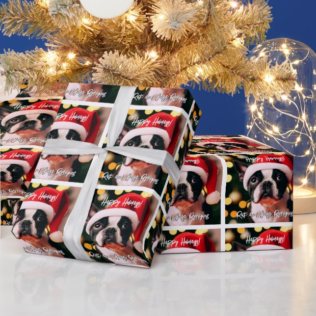Niedlicher Boston Terrier Welpe mit Weihnachtsmann Geschenkpapier (Feiertage)