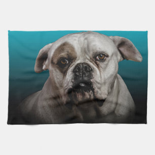 Niedlicher Boxer Hund mit blauem schwarzem Hinterg Handtuch