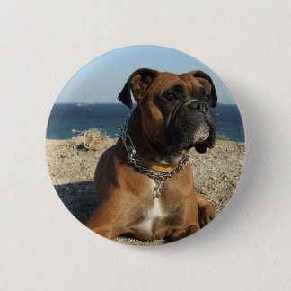 Niedlicher Boxer-Hunderunder Knopf Button