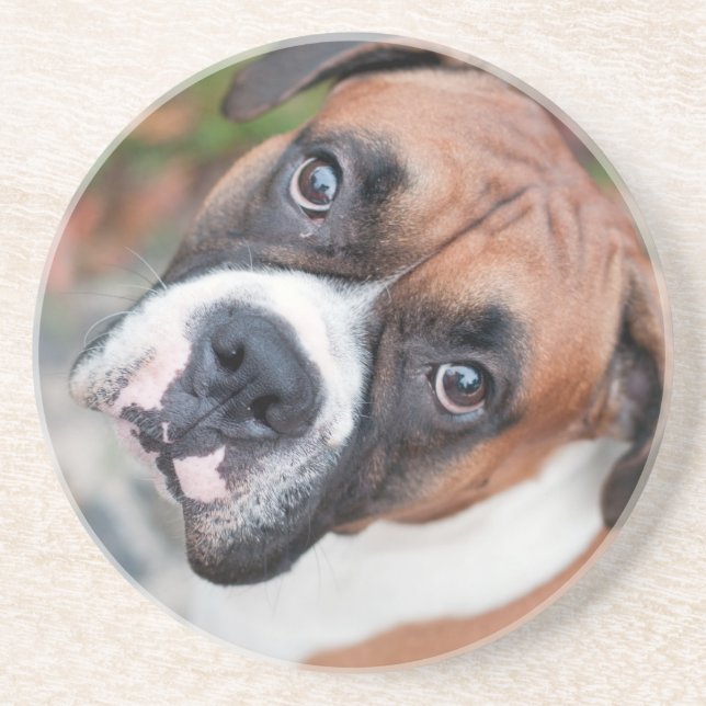 Niedlicher Boxerhund Getränkeuntersetzer (Vorne)