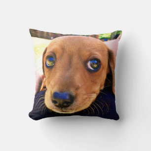 Niedlicher brauner Dackel Welpenhund Kissen