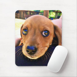 Niedlicher brauner Dackel Welpenhund Mousepad