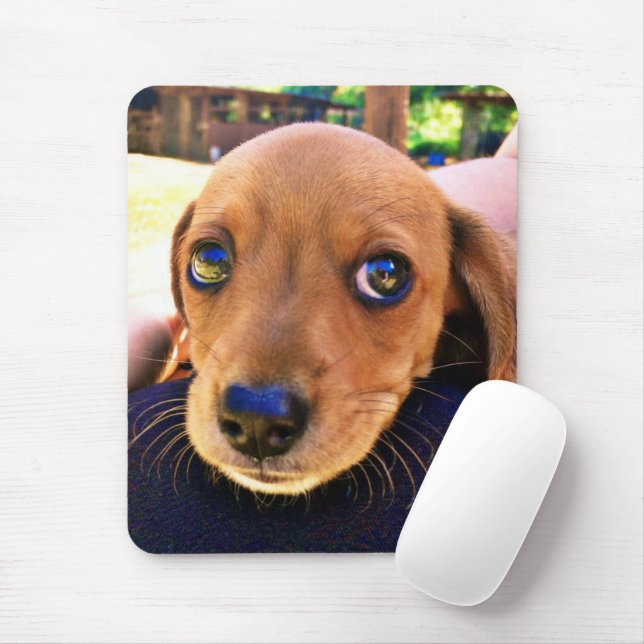 Niedlicher brauner Dackel Welpenhund Mousepad (Mit Mouse)