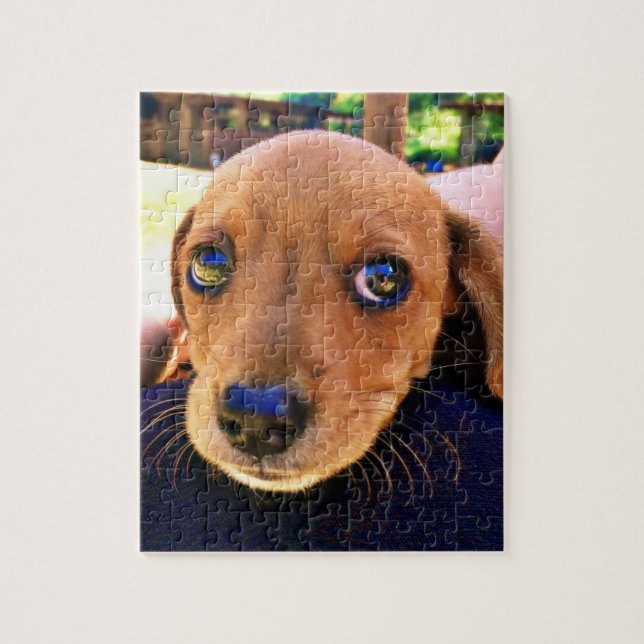 Niedlicher brauner Dackel Welpenhund Puzzle (Vertikal)
