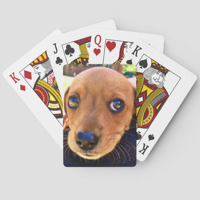 Niedlicher brauner Dackel Welpenhund Spielkarten (Rückseite)
