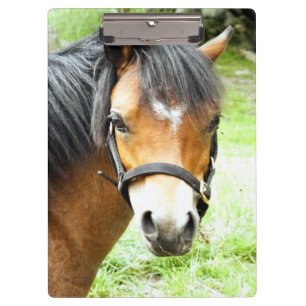 NIEDLICHER BROWN PONY KLEMMBRETT