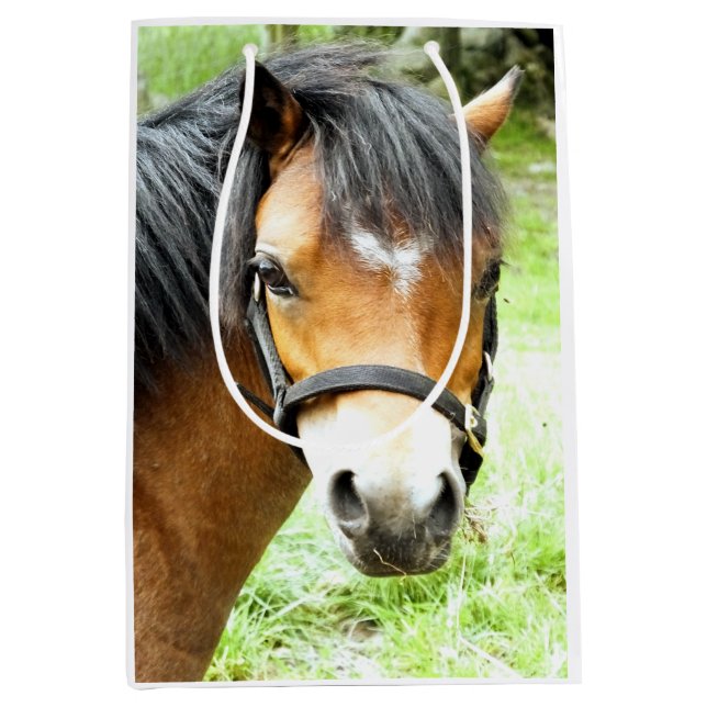 NIEDLICHER BROWN PONY MITTLERE GESCHENKTÜTE (Vorderseite)