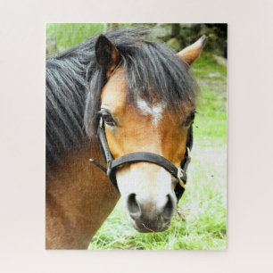 NIEDLICHER BROWN PONY PUZZLE