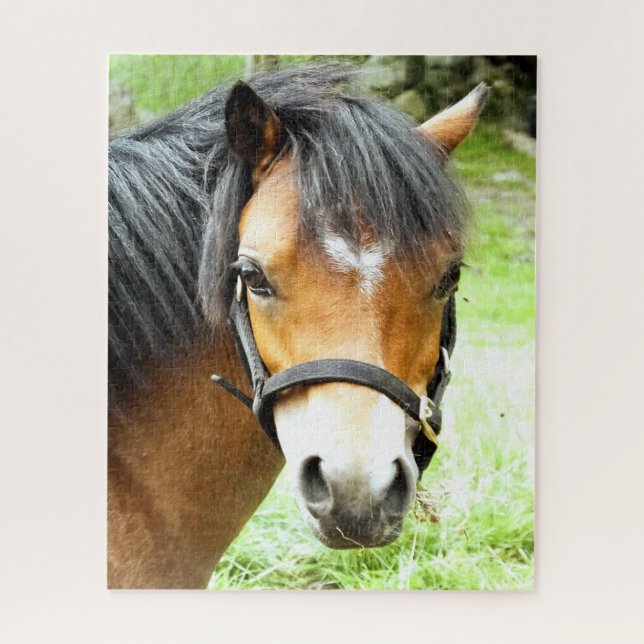 NIEDLICHER BROWN PONY PUZZLE (Vertikal)