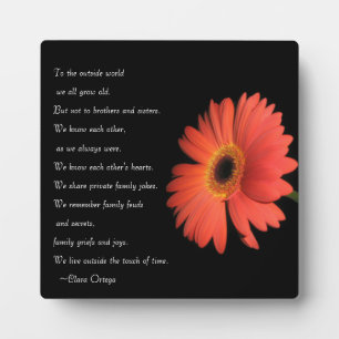 Niedlicher Bruder / Schwester Geschwister Geburtst Fotoplatte