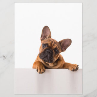 Niedlicher Bulldog | Sehr Niedlich, English Bulldo Menükarte
