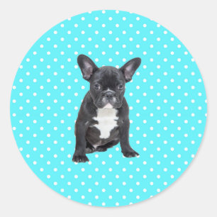 Niedlicher Bulldog Welpe Blue Polka Dots Runder Aufkleber