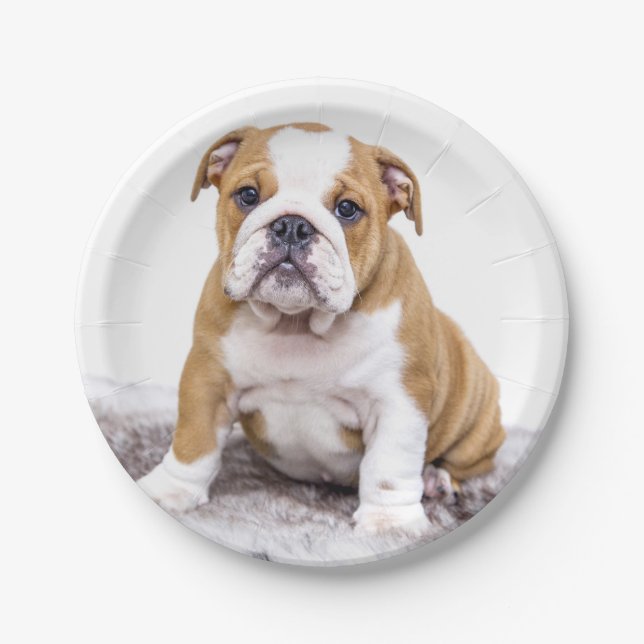 Niedlicher Bulldog-Welpe sitzend Pappteller (Vorderseite)
