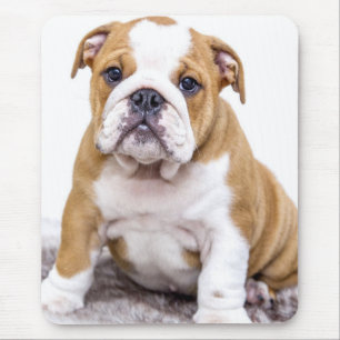 Niedlicher Bulldoggen-Welpe, der sich hinsitzt Mousepad