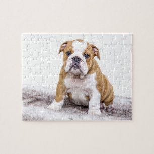 Niedlicher Bulldoggen-Welpe Puzzle
