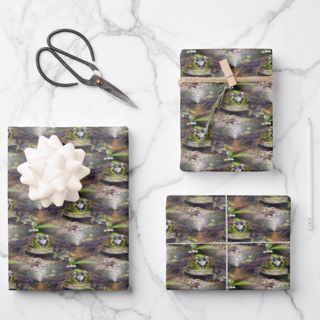 Niedlicher Bullfrog-Gesichtsausdruck Tierart Geschenkpapier Set (Vorderseite)