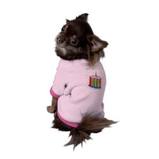 Niedlicher bunter Geburtstags-Party-Kuchen Shirt