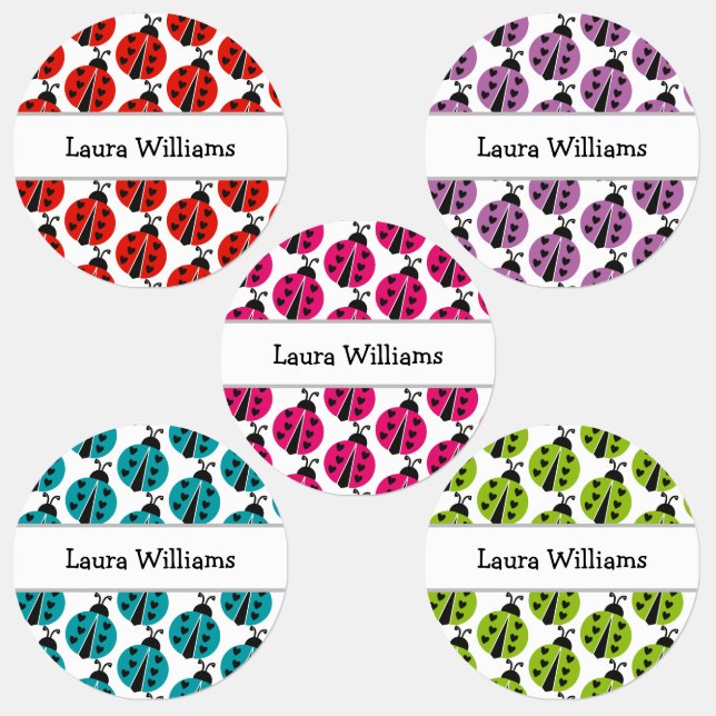 Niedlicher bunter Ladybug Personalisierter Name Etiketten (Gruppe)