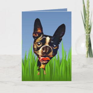 Niedlicher Cartoon Boston Terrier Grußkarte Karte