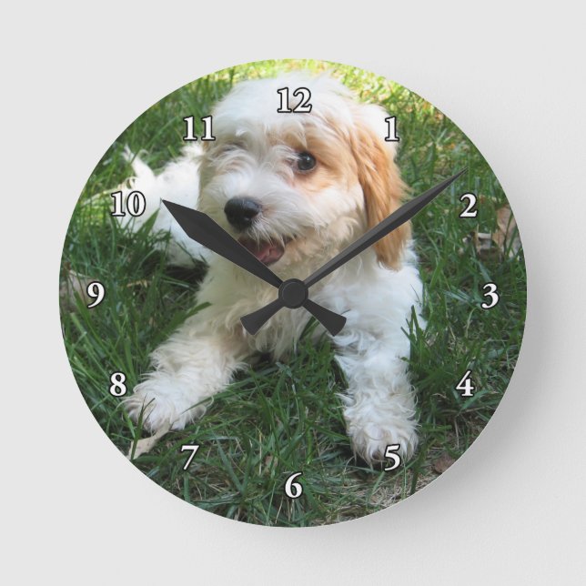 NIEDLICHER CAVAPOO WELPE RUNDE WANDUHR (Vorderseite)