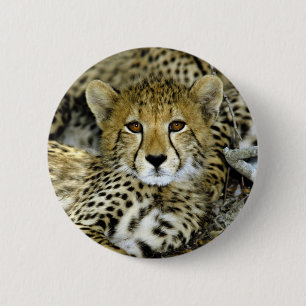Niedlicher Cheetah Button