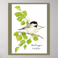 Niedlicher Chickadee Bird in Poplar Tree Süße freu