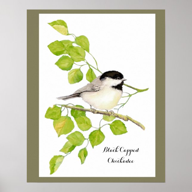 Niedlicher Chickadee Bird in Poplar Tree Süße freu Poster (Vorne)