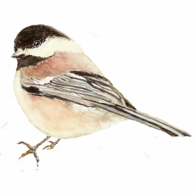 Niedlicher Chickadee Bird, Natur, Wildnis Freistehende Fotoskulptur (Vorne)