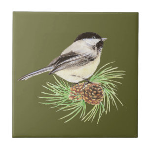 Niedlicher Chickadee-Vogel, Natur, wild lebende Fliese