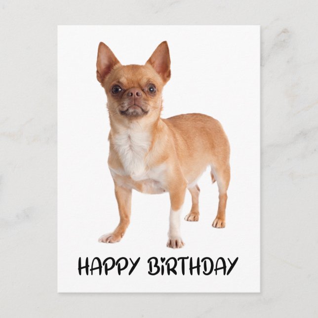 Niedlicher Chihuahua Birthday Welpenhund Postkarte (Vorderseite)