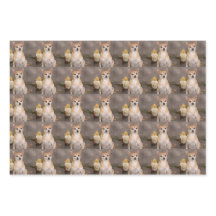Niedlicher Chihuahua Dog Floral Pet Portrait Muste
