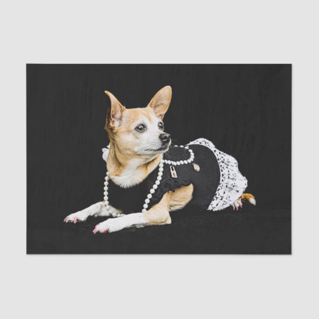 Niedlicher Chihuahua Dog Tan Brown Black Elegant Seidenpapier (Vorderseite)