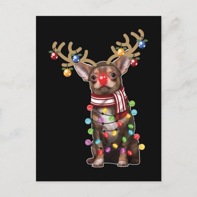 Niedlicher Chihuahua Dog Weihnachtsgeschenke Postkarte (Vorderseite)