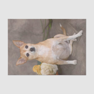 Niedlicher Chihuahua Hund Blumenstrauß Portrait Seidenpapier