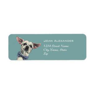 Niedlicher Chihuahua-Hund mit dem