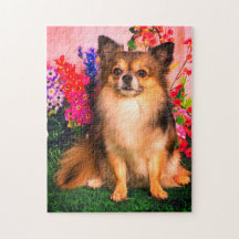Niedlicher Chihuahua unter Frühlings-Blumen