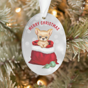 Niedlicher Chihuahua Welpe Hund Geschenk Überrasch Ornament