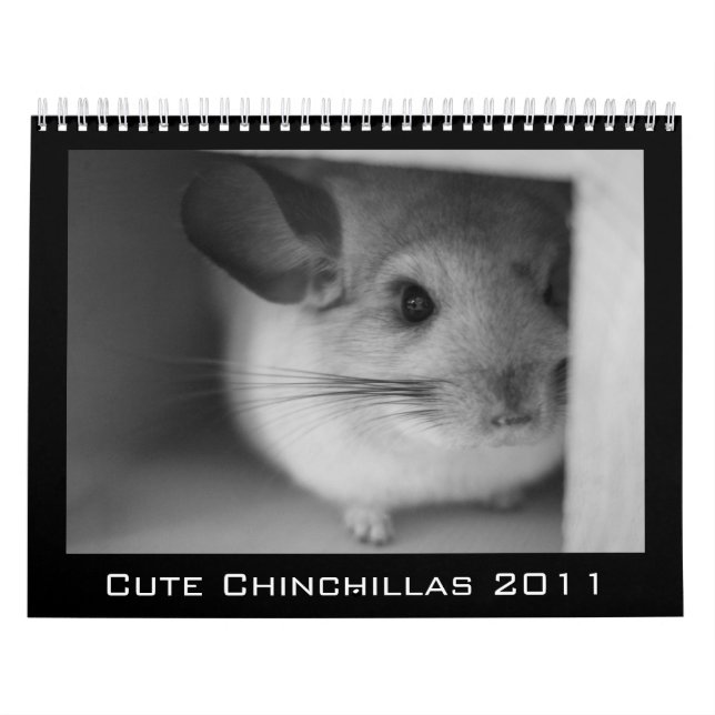 Niedlicher Chinchilla-Kalender 2011 Kalender (Titelbild)