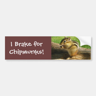 Niedlicher Chipmunk Autoaufkleber