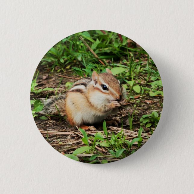 Niedlicher Chipmunk Button (Vorderseite)